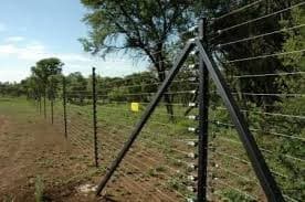 fence.jpg